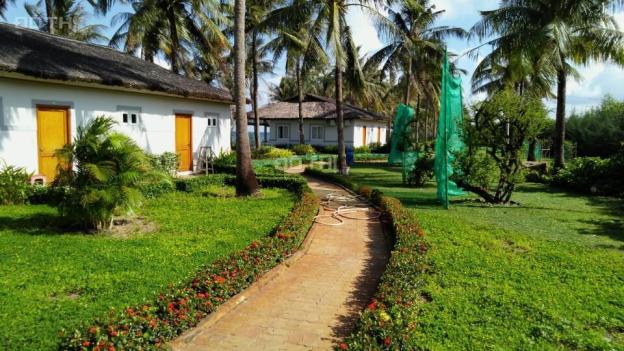 Milton Phú Quốc hệ thống khách sạn mặt tiền biển duy nhất tại Bãi Trường, Phú Quốc 8239936