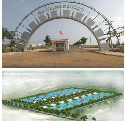 Cần cho thuê gấp đất trống tại cụm CN Tân Hội, Tân Châu, Tây Ninh tiện xây nhà máy, xí nghiệp 8372888