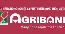 Ngân hàng Agribank chi nhánh Bình Dương thanh lý 880m2 đất nền đợt cuối, SH riêng, ngay mặt tiền 8360386