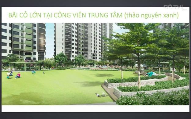 Celadon City cảm nhận môi trường sống lý tưởng với không gian xanh mát, 160.000m2 cây xanh 8373551