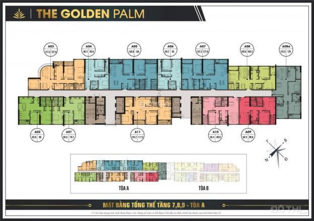 Chỉ từ 35tr/m2 sở hữu căn hộ cao cấp The Golden Palm, HTLS 0%, vay 70%, lh 097 559 1080 8375829