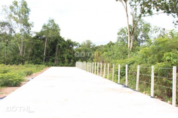 Bán đất tại Nguyễn Trung Trực, Phú Quốc, Kiên Giang, diện tích 100m2, giá 550 triệu 8377014