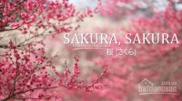 Đất ven đường Trường Sa dự án Sakura Central Park - Chính thức nhận giữ chỗ để nhận vị trí đẹp nhất 8728247