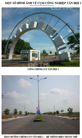 Đất cần cho thuê trong CCN Tân Hội tại Tây Ninh 8417824