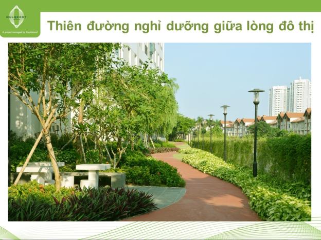 Khuyến mãi chưa từng có tại Mulberry Lane, CK ngay 25% giá trị CH nhân ngày quốc khánh Singapore 8738855