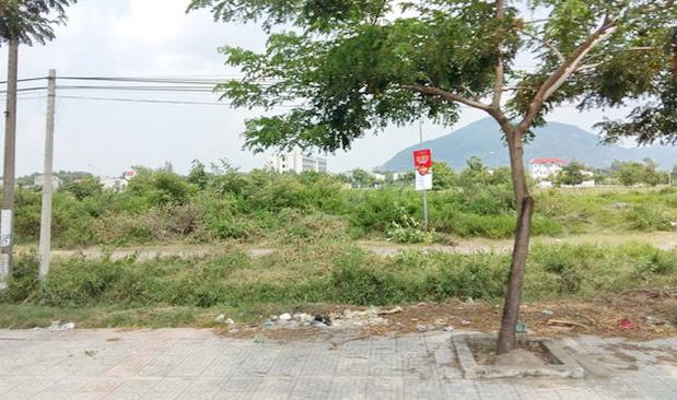 Bán gấp đất dự án Jamona Đào Trí lô B24 Phường Phú Thuận, Quận 7 8482308