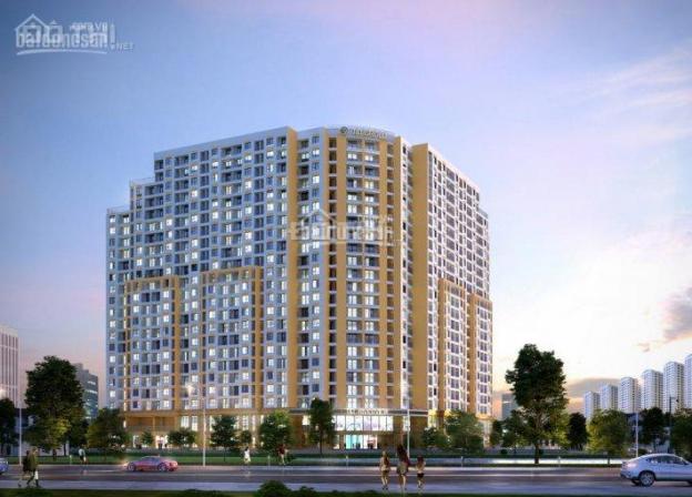 T&T Riverview: Sáng đón bình minh, chiều ngắm hoàng hôn tại vườn chân mây 8509691