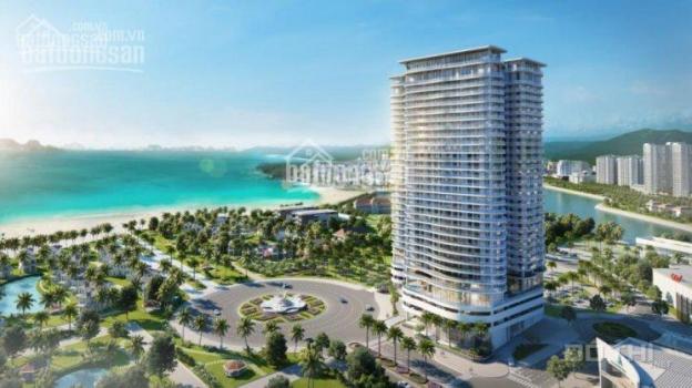 Tôi cần bán cắt lỗ căn hộ A1015 Condotel Citadines Hạ Long diện tích 62,3m2 giá 1,7 tỷ 8513411