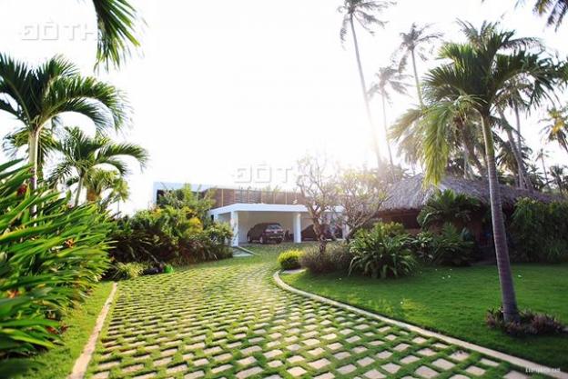 Bán gấp resort Oceanique, KP 4, Hàm Tiến, Phan Thiết, Bình Thuận, 40 tỷ 8553859