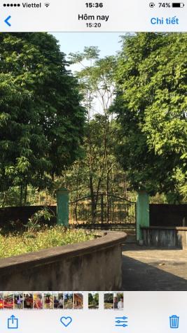 Bán nhà vườn nghỉ dưỡng tại xã Thanh Minh- Phú Thọ 9072378