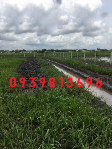 Kẹt tiền, bán gấp lô đất làm vườn ở xã Tân Thạnh Đông, DT 1100m2, giá 850 triệu, SHR 9065155