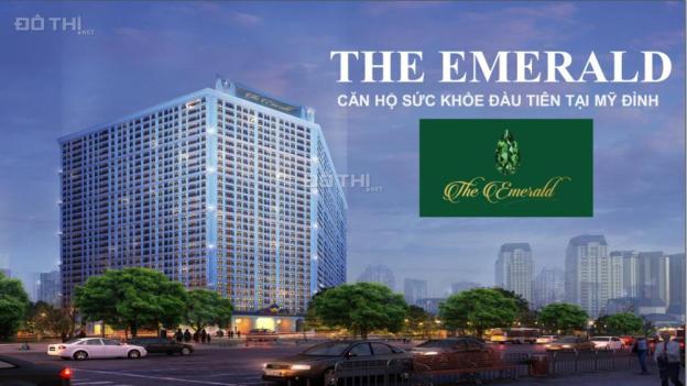 Cảnh báo của chủ đầu tư khi khách hàng mua chung cư The Emerald Mỹ Đình 0904 885 933 8742740
