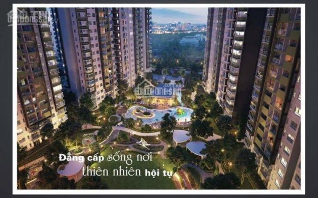 Bán căn hộ Block C khu Emerald giá thấp hơn chủ đầu tư. Lh: 0911.31.55.31 8834917