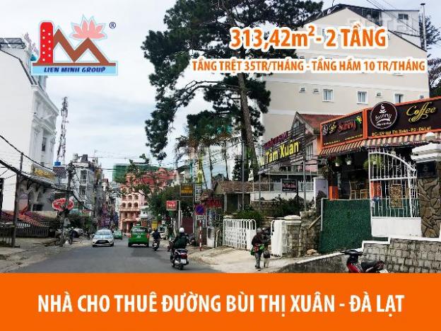 Cho thuê nhà Bùi Thị Xuân, P2, Đà Lạt, Lâm Đồng diện tích 313.42m² giá 35 triệu/tháng 8874766