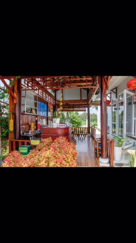 Cần tiền nên cho thuê biệt thự du lịch 1T + 1L Hùng Vương, Tp. Hội An, Quảng Nam. Giá 30tr/tháng/TL 9238370