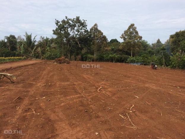 Bán các lô đất nền dự án giá từ 250tr - 750tr khu vực Y Moan, sinh lợi nhanh 9600896