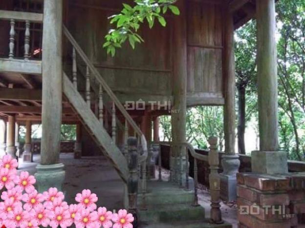 Hot bán gấp nhà sàn nghỉ dưỡng 2210m2 tại Lâm Trường, Sóc Sơn, Hà Nội 10369177