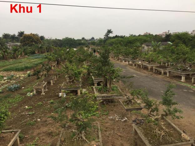 Bán trang trại tại xã Đông Mỹ, Thanh Trì, cách trung tâm HN 15km 10918461