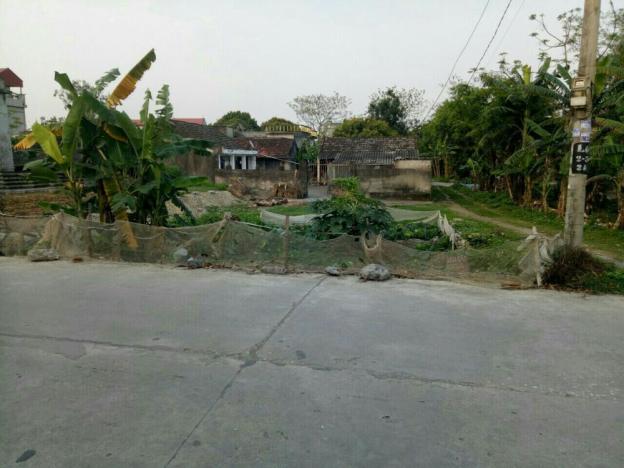 Bán gấp mảnh đất xã Yên Thắng, huyện Yên Mô, Ninh Bình, giá cực rẻ 10758385