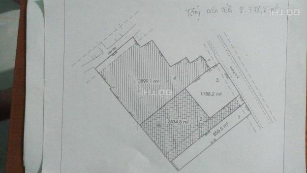 Bán đất đường 8, Phường Linh Xuân. Giá 17.5 triệu/m2 10726661