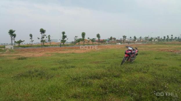 Bán đất diện tích 100m2 đến 600m2 tại khu đô thị Nam Vĩnh Yên 10901914