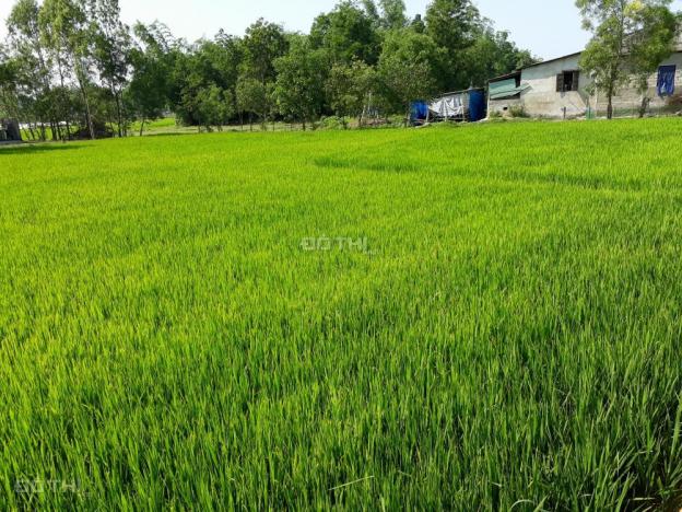Bán đất tại đường Nguyễn Cảnh Dị, Xã Sịa, Quảng Điền, Thừa Thiên Huế, diện tích 200m2 giá 275 triệu 10952070