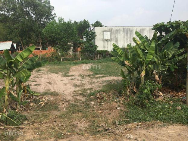 Bán đất tại Trảng Bàng, Tây Ninh giá rẻ  10974491