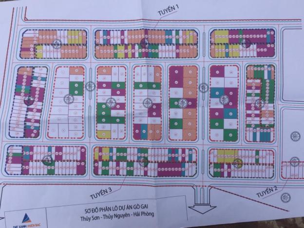 Cần bán lô đất đẹp tại Gò Gai, Thủy Nguyên, Hải Phòng 11157243