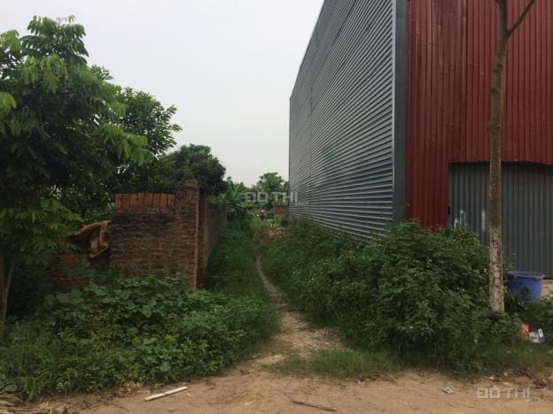 Bán lô đất 95.2m2 vườn tại thôn An Hạ, An Thượng, Hoài Đức, Hà Nội 10913748