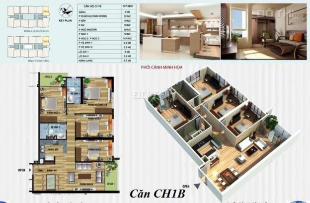 PAD: CT4 Vimeco II, Nguyễn Chánh DT 101m2 - 123.7m2 - 141m2 - 148.2m2, từ 29 tr/m2, 0904 897 255 11436615