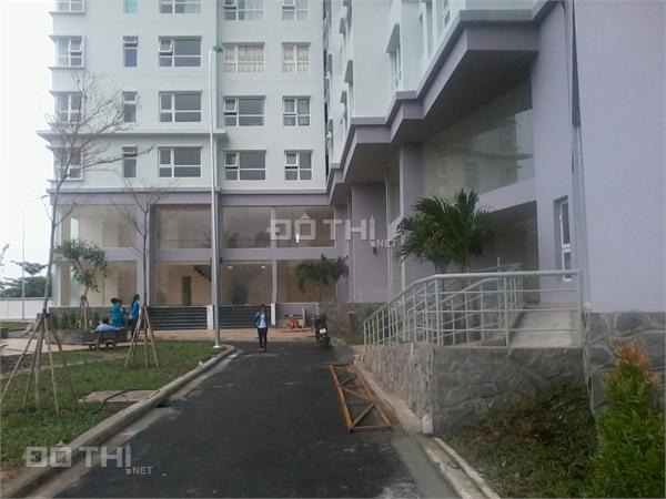 Mình cần cho thuê căn shophouse chung cư, Phú Gia Hưng Apartment Gò Vấp, 120m2, LH 0911 532 235 11610851