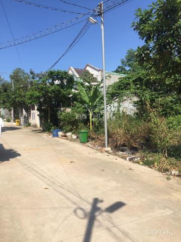 Cần bán lô đất phường Hố Nai ở khu Du Sinh, cách nhà thờ Xuân Trà 700m 11763943