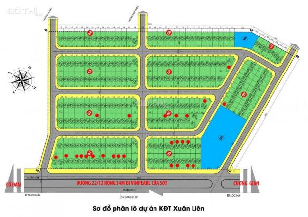 Bán đất khu đô thị Xuân Liên bám mặt đường 22/12, cạnh xã Cương Gián - Nghi Xuân - Hà Tĩnh 11809056