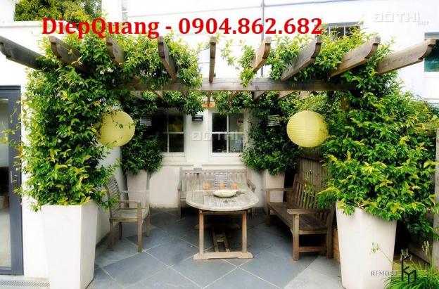 Bán nhà mặt tiền đường Trần Quốc Toản, P. 7, Quận 3. DT: 203m2 11866443