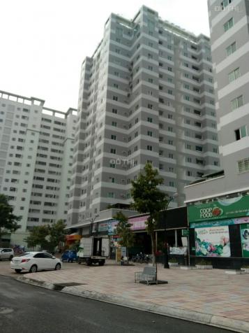 Bán gấp căn hộ đã có sổ Thái Sơn, Tân Tạo A, Bình Tân. Ở ngay trước tết 11909628