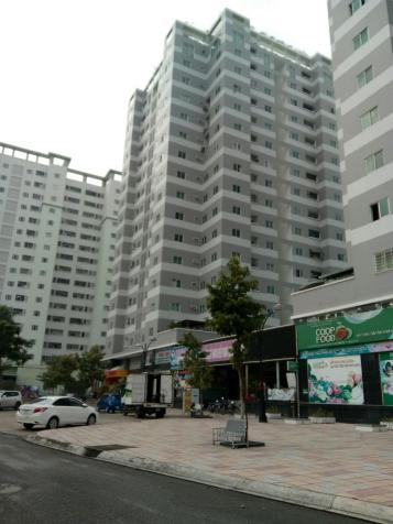 Bán gấp căn hộ đã có sổ Thái Sơn, Tân Tạo A, Bình Tân ở ngay trước tết 11980352