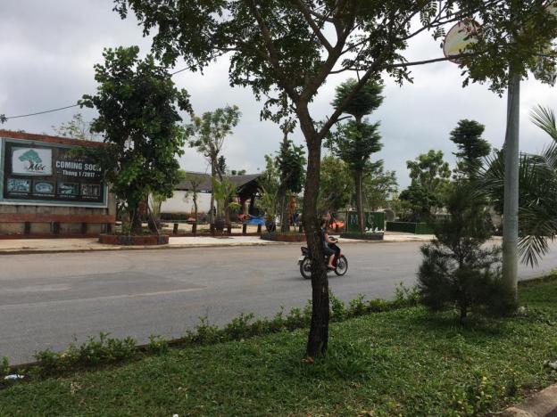 Ly hôn cần bán gấp lô đất chia tài sản tại Biên Hòa, Đồng Nai 12006201