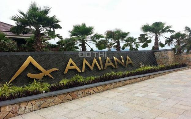 Amiana resort Nha Trang đẳng cấp nghỉ dưỡng, sinh lợi từ vốn 11936048