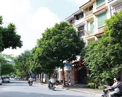 Bán nhà liền kề khu đô thị Dịch Vọng, nhà căn góc giá 22,5 tỷ. LH 0917353545 11936466