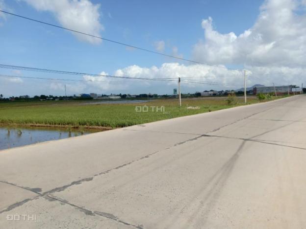 Bán đất tại Xã An Hải, Ninh Phước, Ninh Thuận. Diện tích 1500m2, giá 2,5 tỷ 11975131