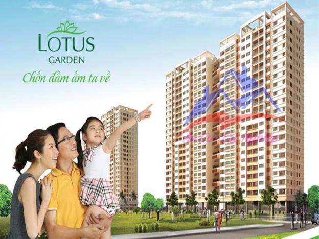 Cần bán gấp căn hộ Lotus Garden, DT: 78m2, 3PN, 1WC, 2.25tỷ 12071466