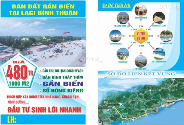 Bán đất gần biển đường Hùng Vương, Xã Tân Bình, La Gi, Bình Thuận, DT 1000m2, giá 480 triệu 11859036