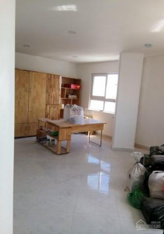Cần bán gấp căn hộ chung cư trung tâm quận Tân Phú cách Đầm Sen 300m 12064882