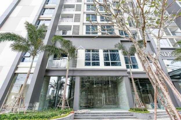 Cho thuê shophouse khu RichStar ngay mặt tiền 278 Hòa Bình, khu cao cấp Novaland, giá 35tr/100m2 12361590