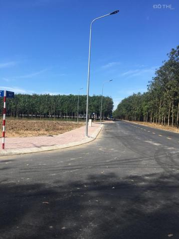 Thanh lý gấp 10 lô đất đường ĐT 747, xã Hội Nghĩa, Nam Tân Uyên, cách cây xăng Kim Hằng 2,5 km 12174959