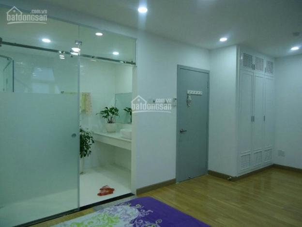 Cho thuê căn hộ penthouse Phú Hoàng Anh 170m2, full nội thất, giá 22tr/th, LH 0901319986 anh Luân 12362906