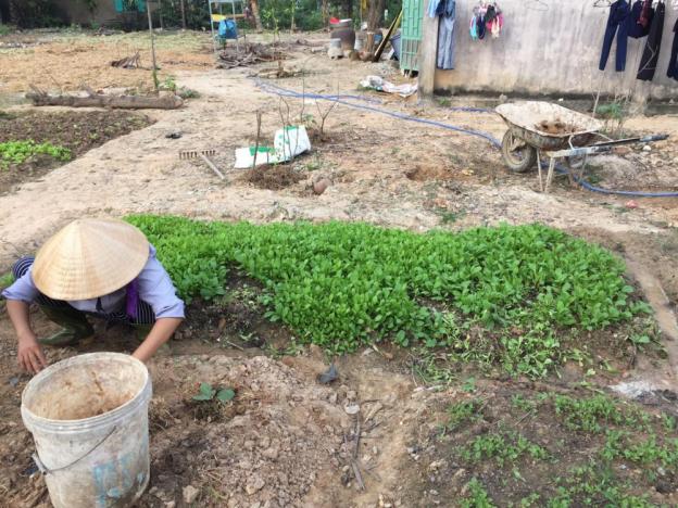 Cần cho thuê lô đất rộng đẹp ở Thuận An, Bình Dương 12398125