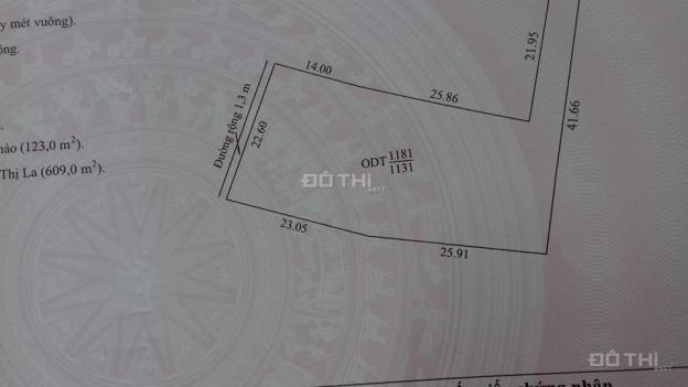 Bán 1.131m2 đất tại phường Sao Đỏ, thị xã Chí Linh 12398049