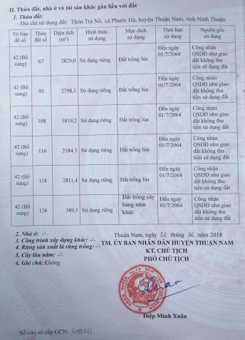 Bán đất ruộng chính chủ huyện Thuận Nam, chỉ 500tr, LH: 0839508039 12423465