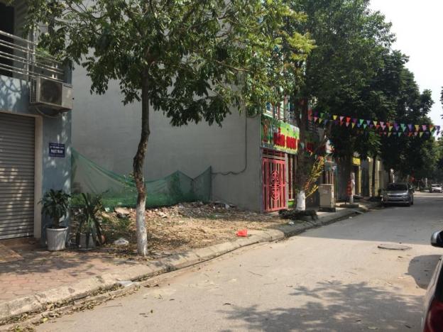 Chính chủ cần bán lô đất LK3 tại KĐT Đại Thanh, Thành Trì, Hà Nội 12434171